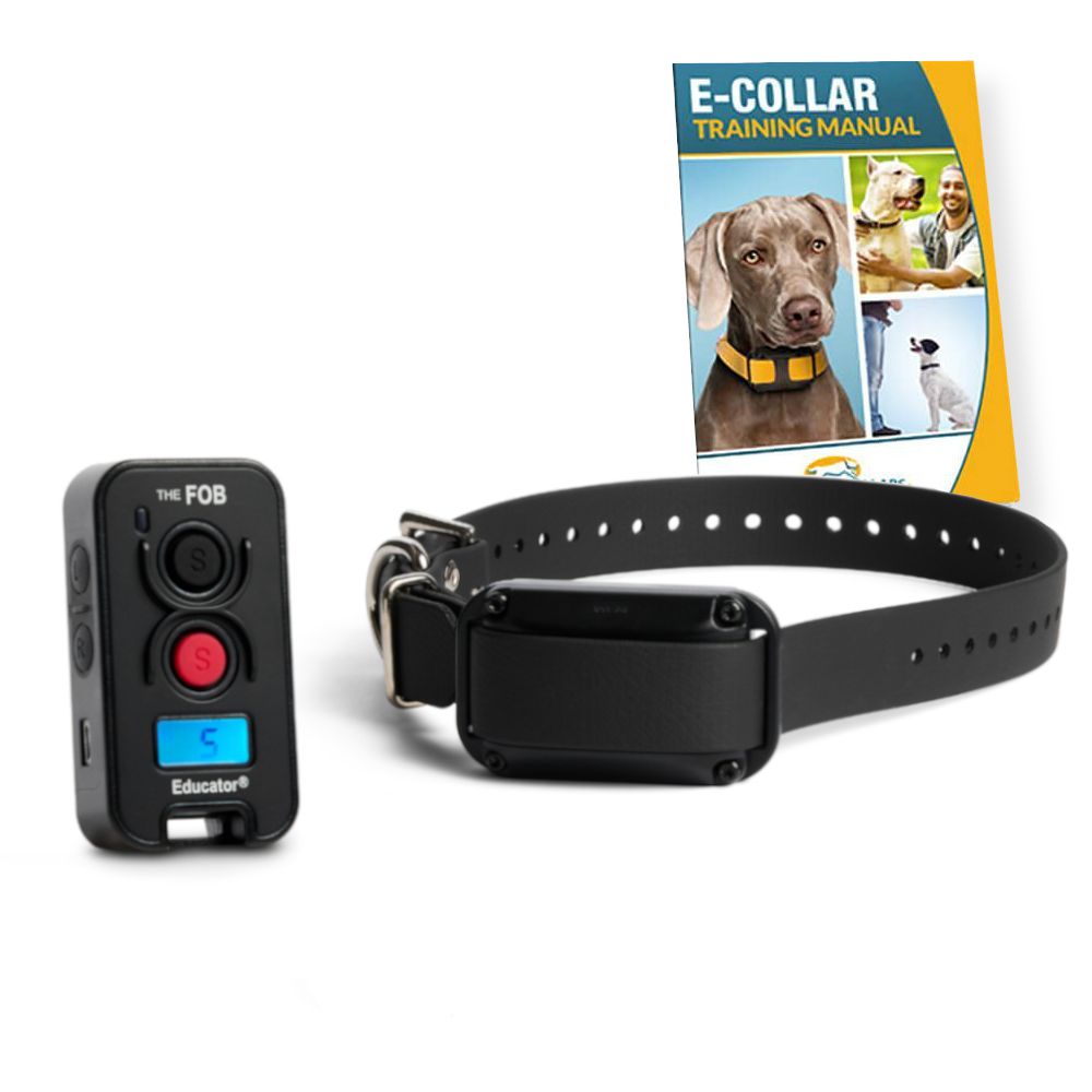 Electronic collar training best sale