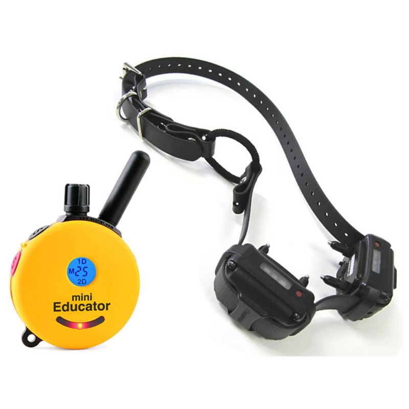 E Collar Technologies ET 300 Mini Plus Remote Dog Training Collar K9 Electronics