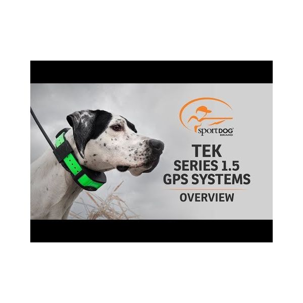 Cheap dog tracking systems best sale