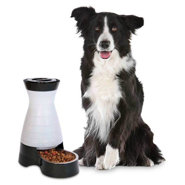 PetSafe Healthy Pet Food Station K9 Electronics