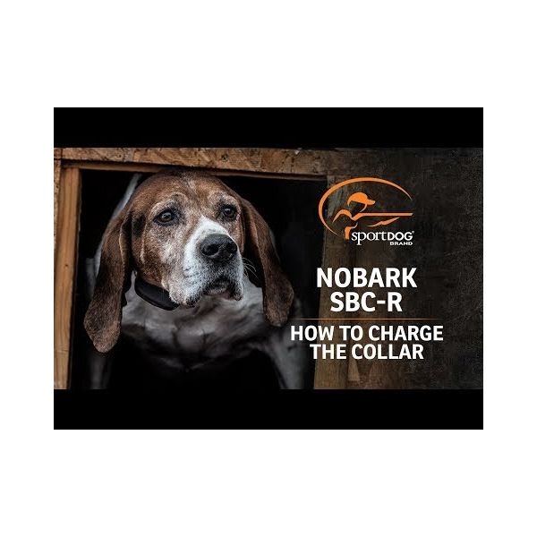 SportDOG NoBark SBC R Bark Collar K9 Electronics