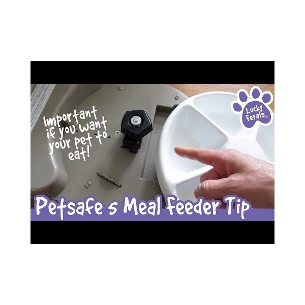 Petsafe five meal pet feeder best sale