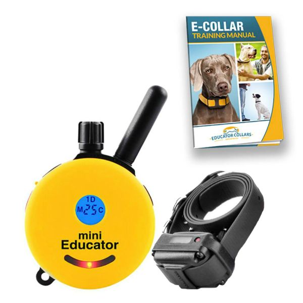 Collars for dog fashion training