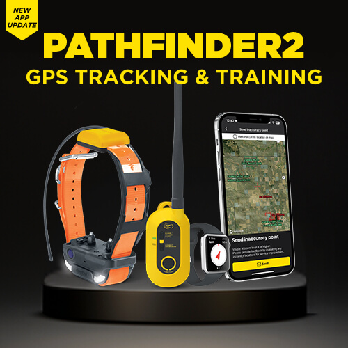 Dogtra Pathfinder 2