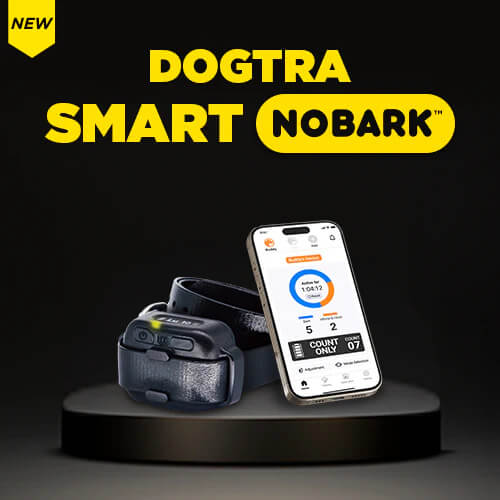 Dogtra Smart NoBark